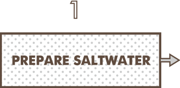 1 Prepare saltwater